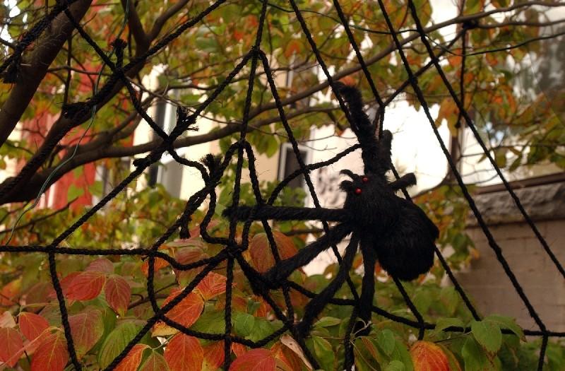 Halloween decorations at 651 F St., NE, on Capitol Hill.